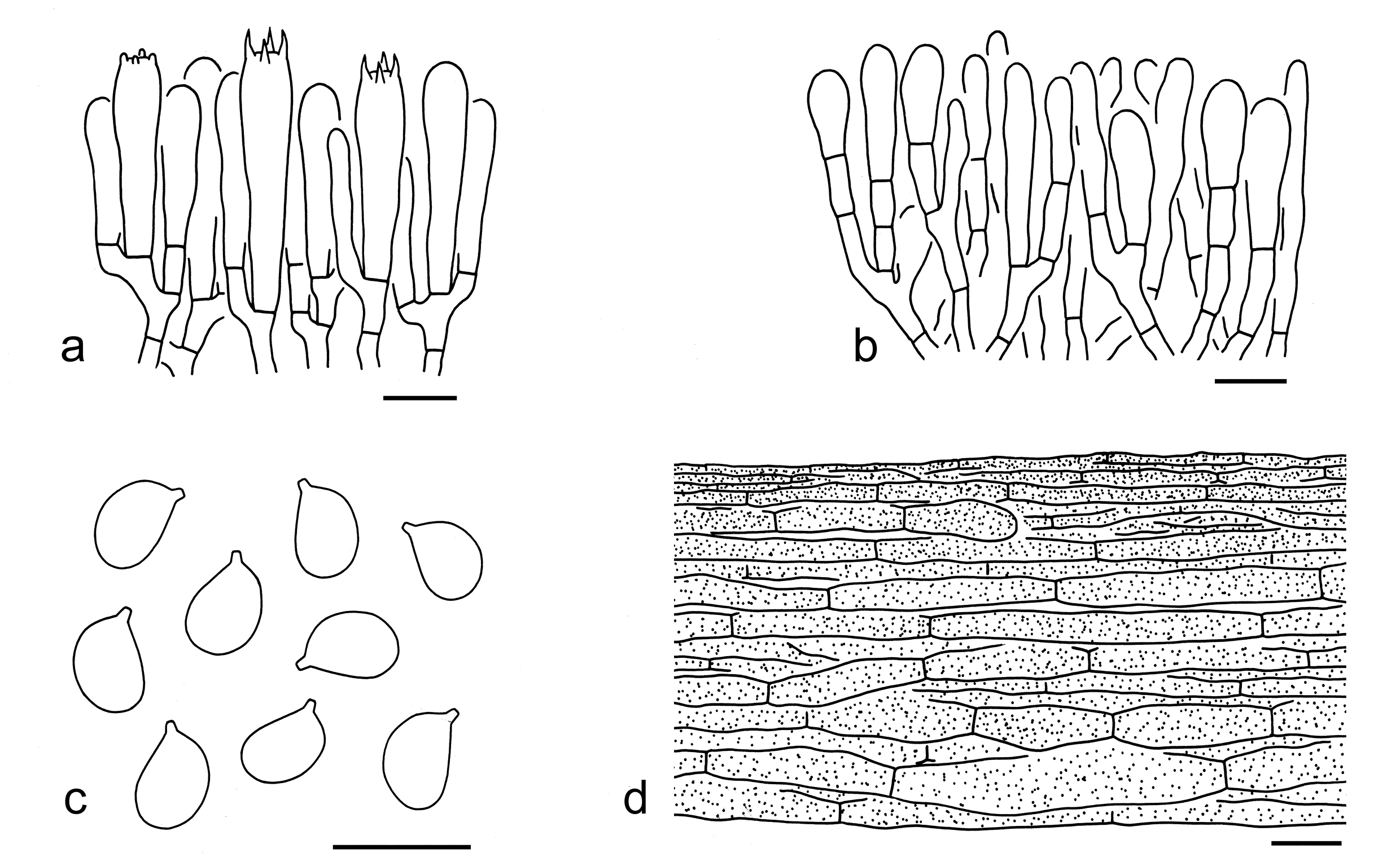 Figure 62